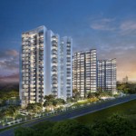 Bartley Ridge New Launch