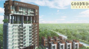 Goodwood Grand- Magnificence to Savor City Skylines